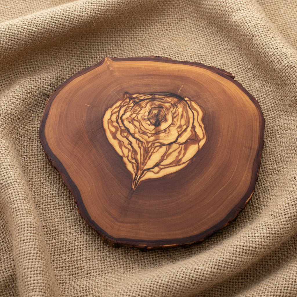 Sous-verres naturels en bois d’olivier avec coupe authentique