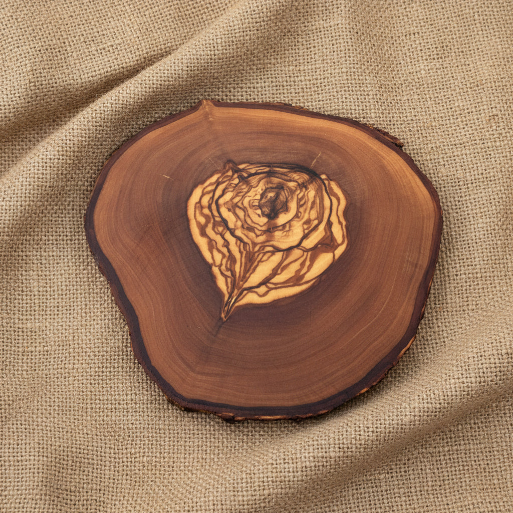 Sous-verres naturels en bois d’olivier avec coupe authentique