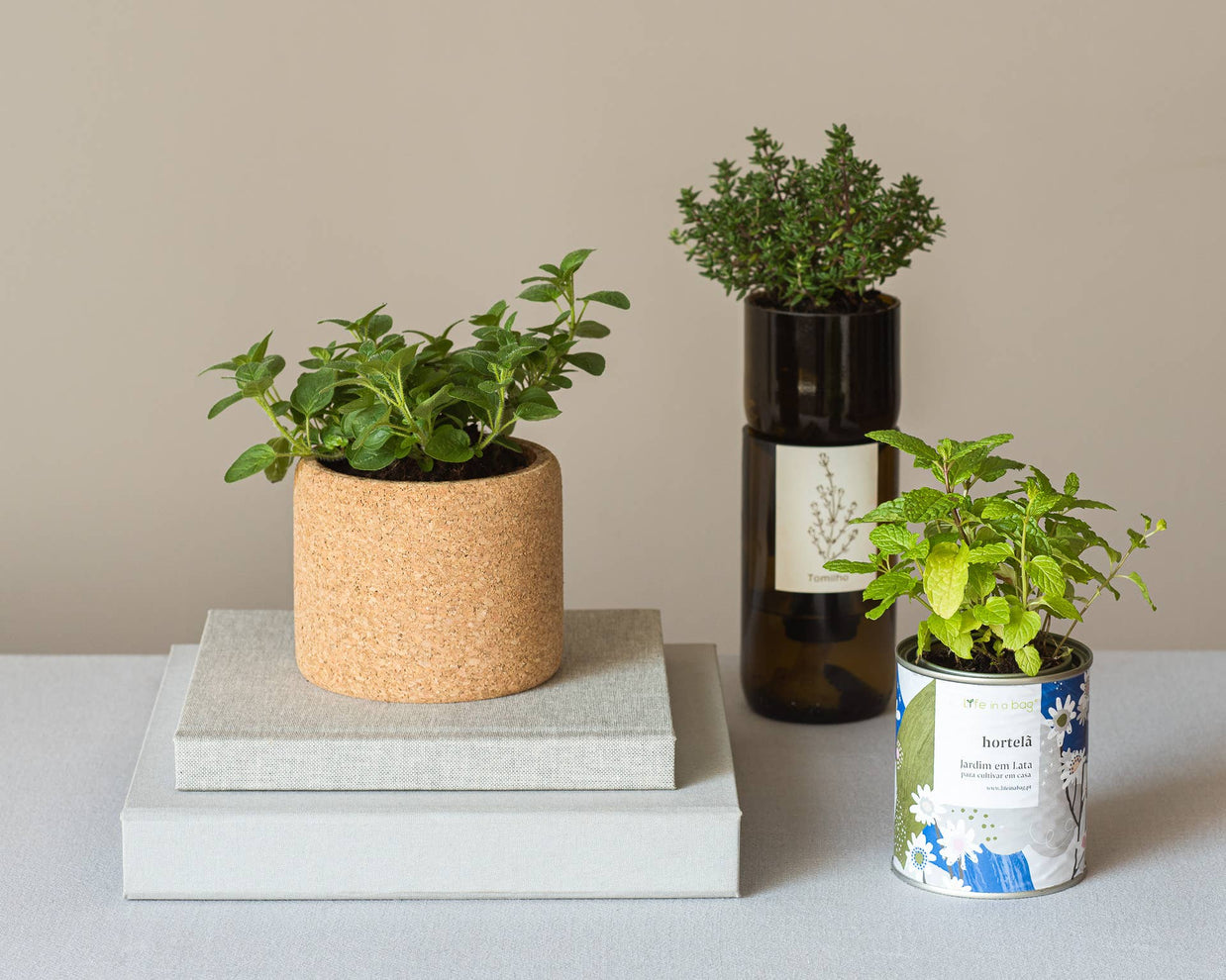 Gamme de jardins Life in a Bag avec différentes herbes aromatiques en pot