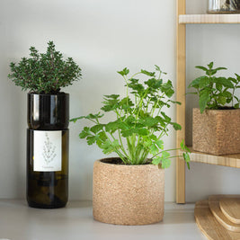 Herbes aromatiques Life in a Bag disposées sur une étagère de cuisine