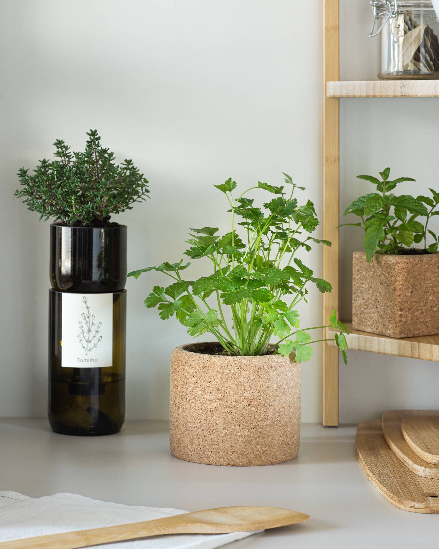 Herbes aromatiques Life in a Bag disposées sur une étagère de cuisine