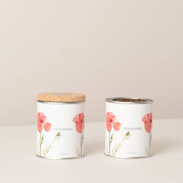 Jardin en boîte métallique « Félicitations » avec coquelicot à planter - Life in a Bag