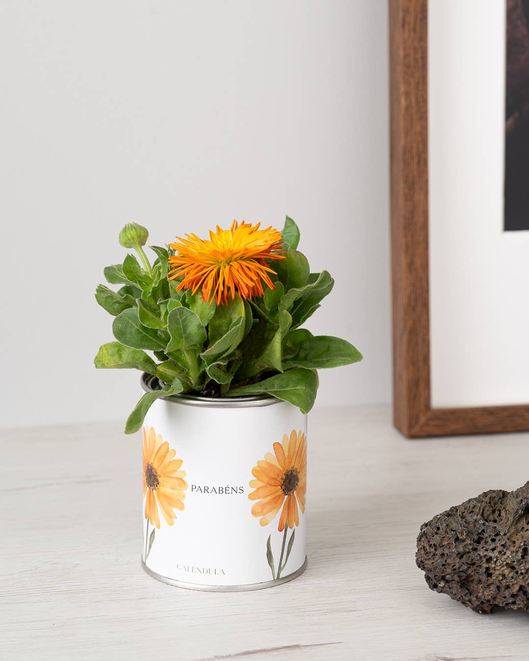 Boîte métallique « Félicitations » avec calendula en fleurs posée en décoration - Life in a Bag