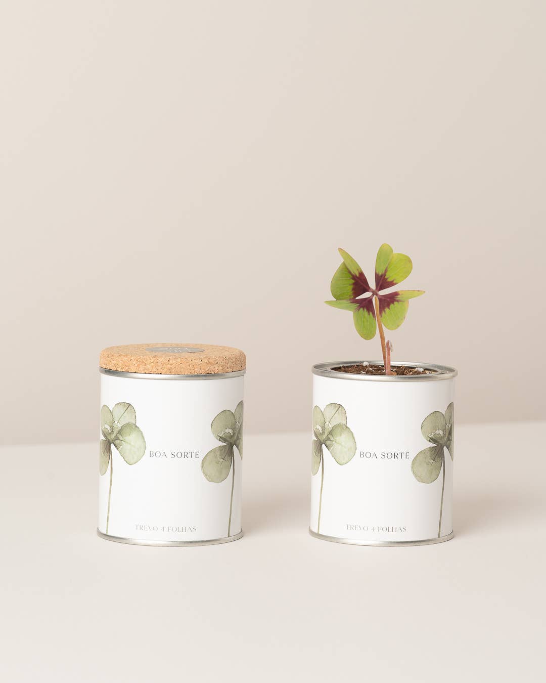 Jardin en boîte métallique « Good Luck » avec trèfle à quatre feuilles en germination - Life in a Bag