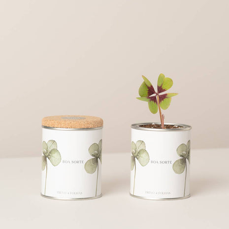Jardin en boîte métallique « Good Luck » avec trèfle à quatre feuilles en germination - Life in a Bag
