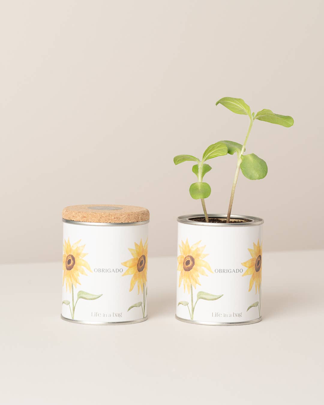 Jardin en boîte métallique « Merci » avec tournesols en germination - Life in a Bag