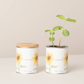 Jardin en boîte métallique « Merci » avec tournesols en germination - Life in a Bag