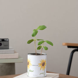 Jardin en boîte métallique « Merci » avec tournesol en pot sur un bureau - Life in a Bag