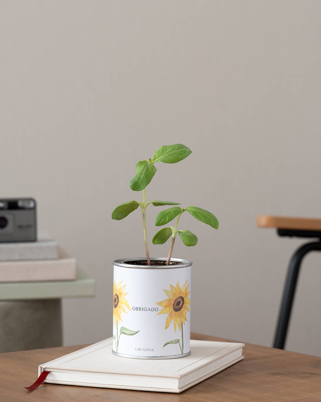 Jardin en boîte métallique « Merci » avec tournesol en pot sur un bureau - Life in a Bag