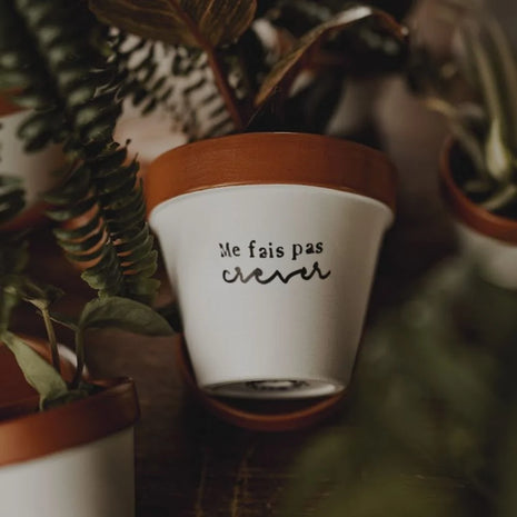 Pot "Me fais pas crever"