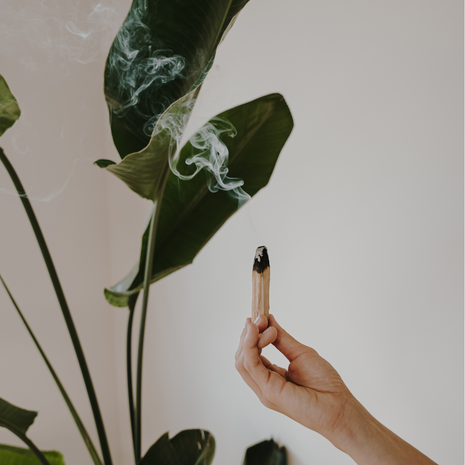 palo santo purification maison