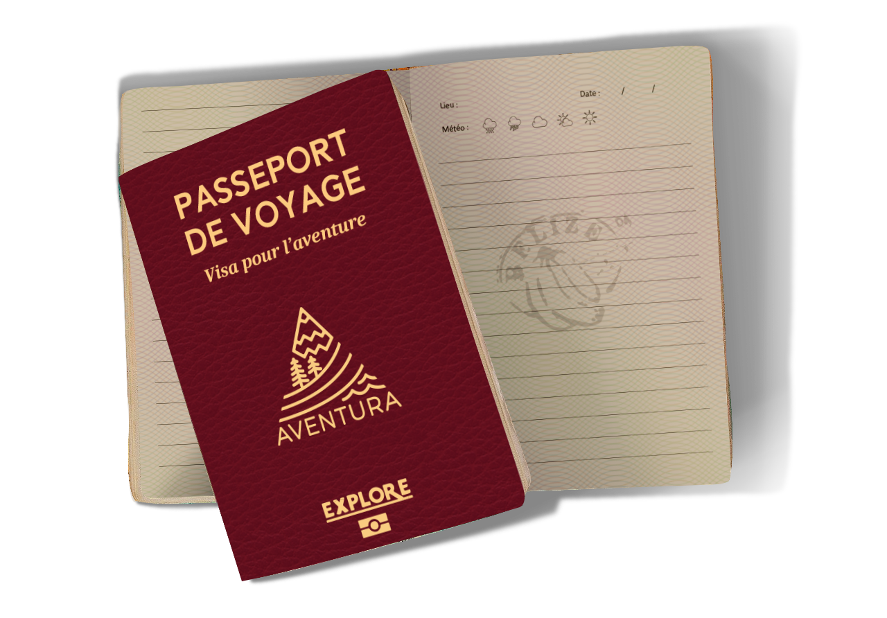 Passeport de voyage