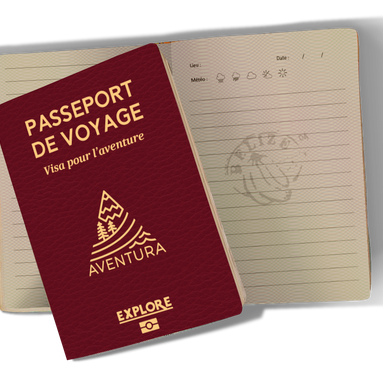 Passeport de voyage