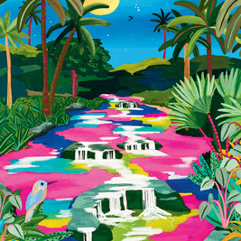 Puzzle 500 pièces - Caño Cristales