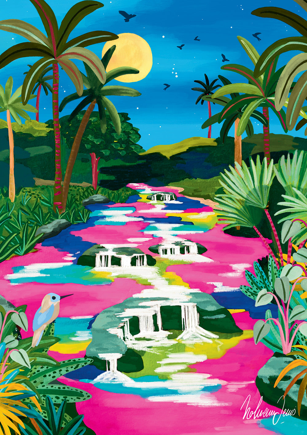 Puzzle 500 pièces - Caño Cristales