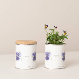 Tin Can Garden 