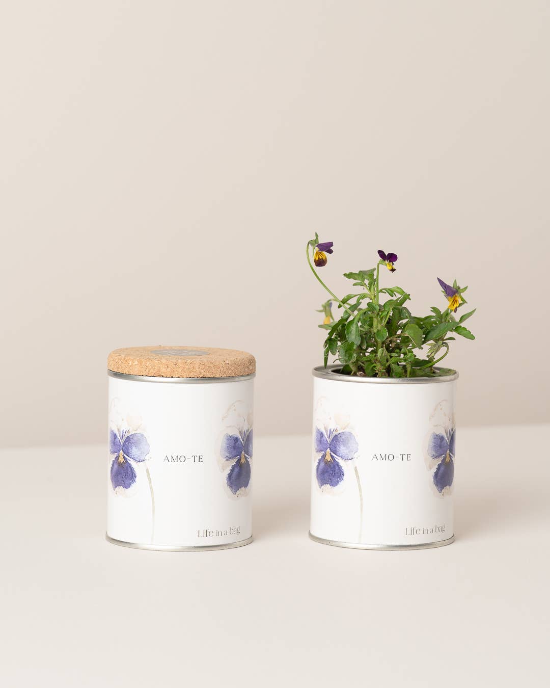 Tin Can Garden 