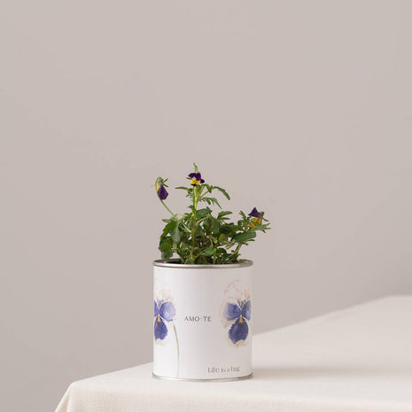Boîte métallique "Je t'aime" avec pensées en fleurs sur une table - Life in a Bag